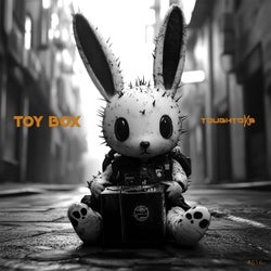 Toy Box