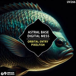 Orbital Entry / Pixelfish